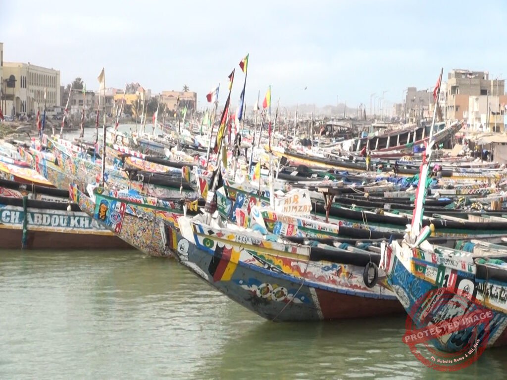 00019.00 00 05 06.Still001