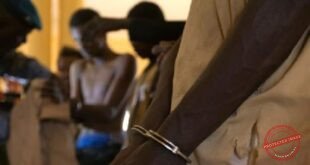 Cinq homosexuels interpellés à Thiès