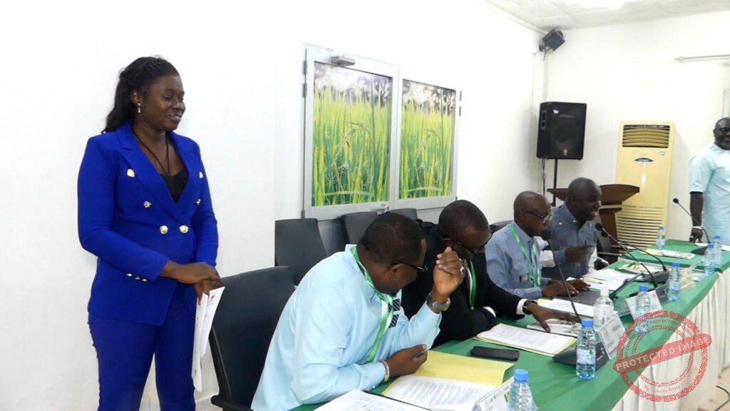 Riz de qualité : AfricaRice mise sur la semence pour transformer la riziculture ouest-africaine