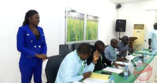 Riz de qualité : AfricaRice mise sur la semence pour transformer la riziculture ouest-africaine