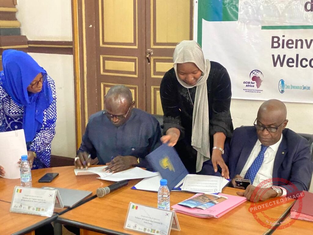 WhatsApp Image 2025 12 18 at 14.58.21