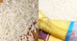 Riz brisé ordinaire : le kilogramme passe de 350 à 300 Fcfa, une baisse de 50 F