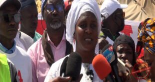 Projet GTA : les pécheurs de Guet Ndar fêtent une victoire historique face à BP et Kosmos Energy