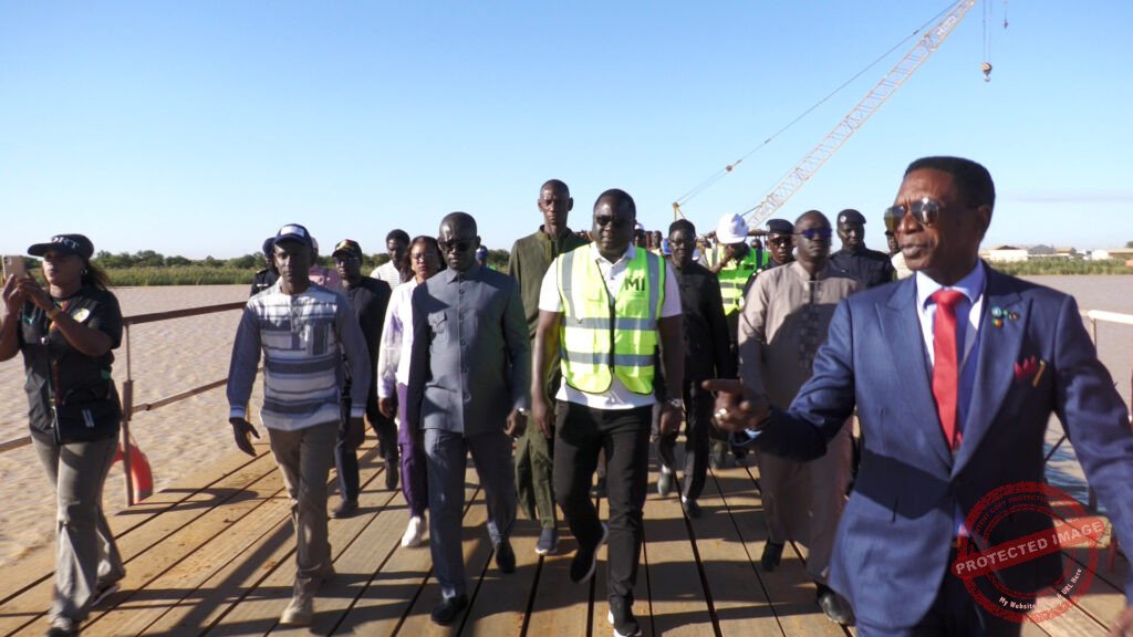 Retard des travaux du Pont de Rosso : le ministre Déthié Fall durcit le ton A064C670 260130 DJ0B.MP4.23 37 30 12.Still001