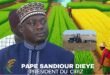Riziculture sénégalaise : Pape Sandiour Diéye prend les rênes du CIRIZ