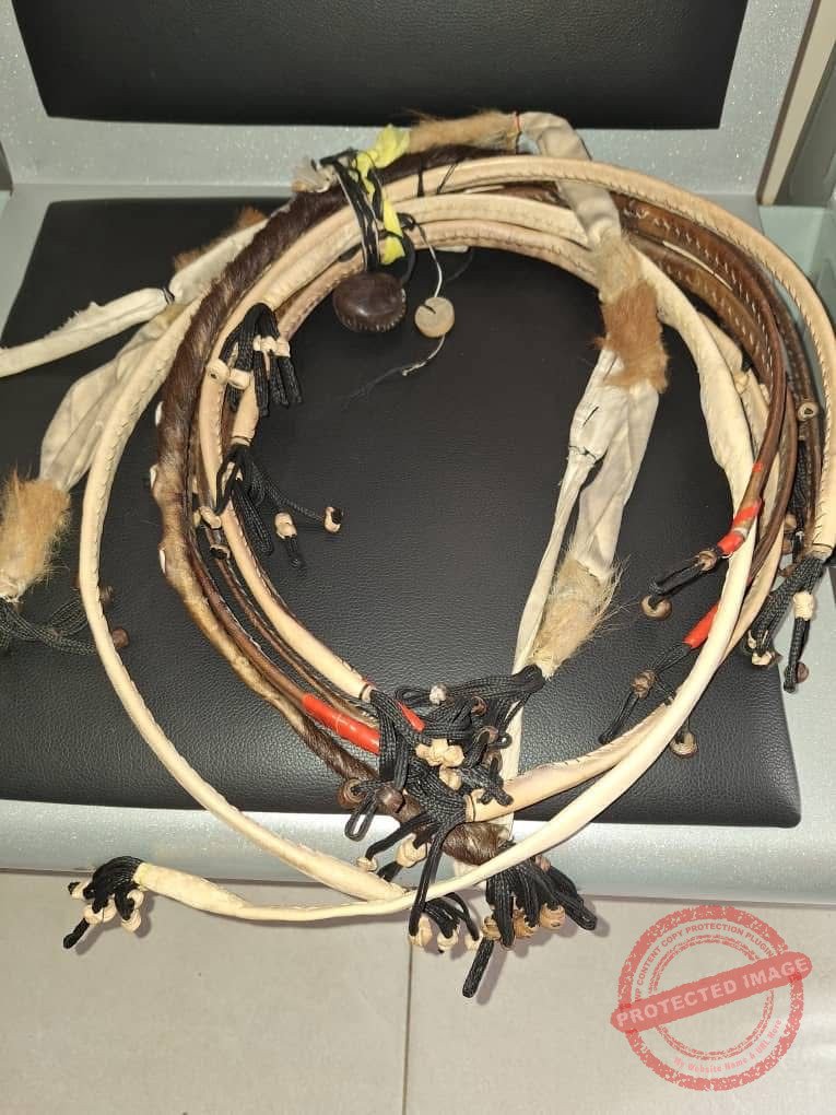 WhatsApp Image 2026 02 13 at 11.13.52 1